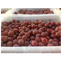 Dunhuang fresh red globe grapes high quality red globe grape strong quality red grapes for sale
